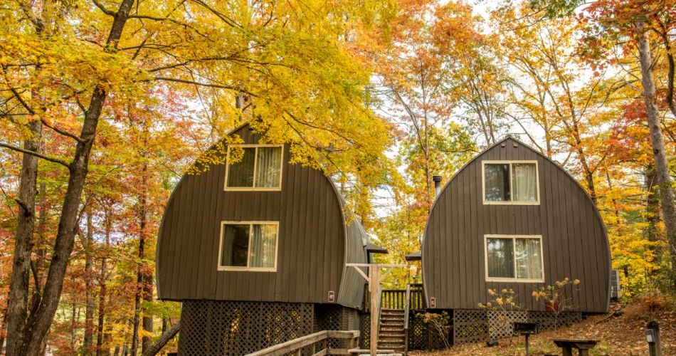 7 Fun & Adventurous Things To Do in Helen, Georgia