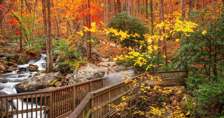 7 Fun & Adventurous Things To Do in Helen, Georgia